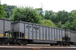51294